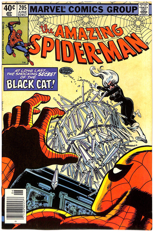 Amazing Spider-Man #205 (7.0)