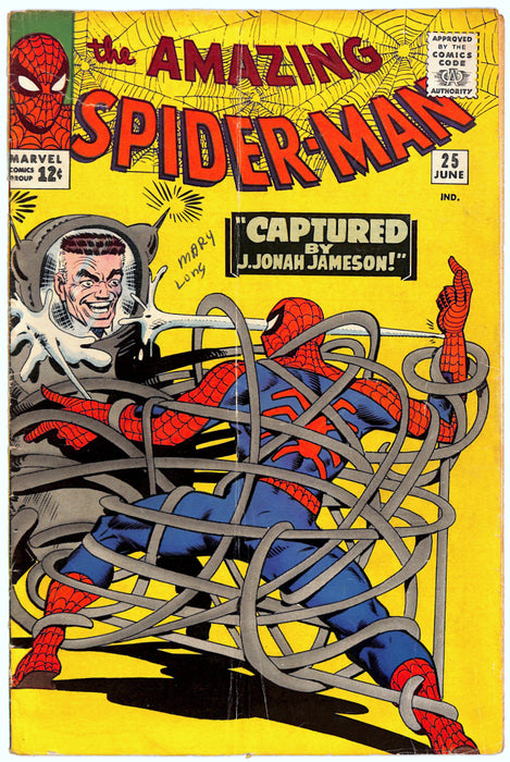 Amazing Spider-Man #25 