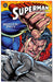 Superman/Doomsday: Hunter/Prey #3 (7.0)