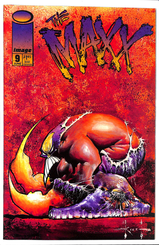 The Maxx #9