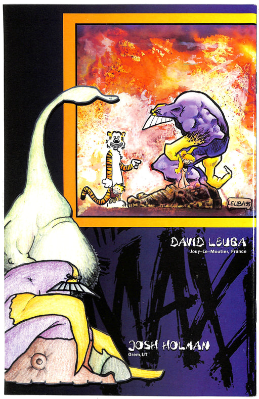 The Maxx #22 (8.0)